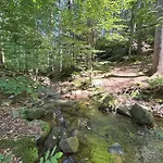 Kaszmir