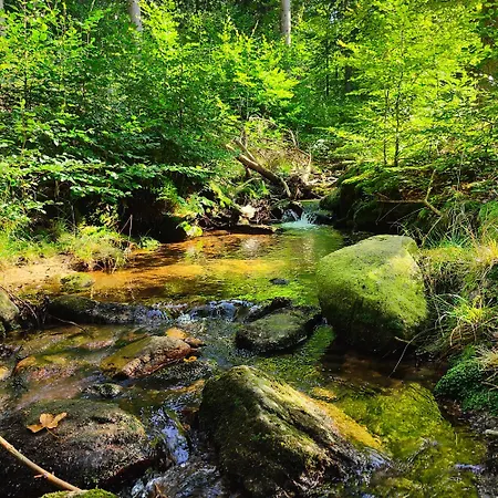 Kaszmir Apartament Szklarska Poręba