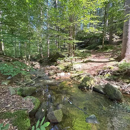 Kaszmir
